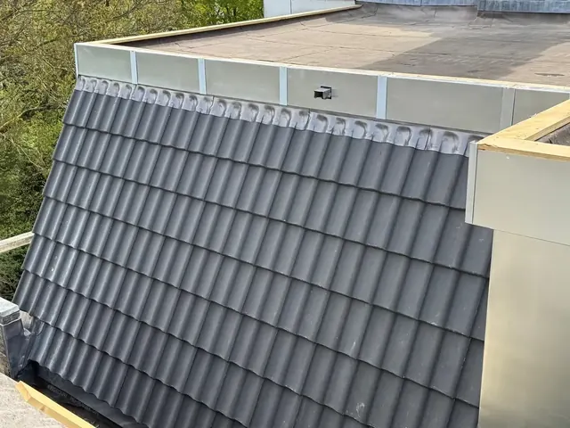 Dakpannen en zinken bovenrand — Overzicht van dakpannen, een bovenrand en de aansluitende zijwand.